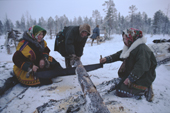 Tundra Nenets women sawing firewood at their camp in Khanty-Mansiysk. Western Siberia, Russia. 2000