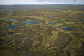 An aerial view of summer tundra near Nadym in the Yamal. Western Siberia, Russia. 2000