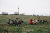 Nenets girl drives reindeer sled past a drilling rig in Gazprom's Bovanenkovo field.Yamal, Western Siberia, Russia