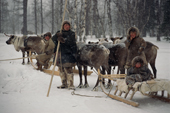 Otto Yaptik (sitting) and Nyndma Khudi, Nenets men, leave camp with two children by reindeer sled to collect wood from the forest. Yamal. Siberia. Russia