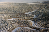 Aerial view of taiga (boreal forest) with a newly frozen river in the autumn. Yamal, western Siberia, Russia.