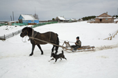 A horse & sled being used to transport firewood for the winter in the Khanty village of Yamgort on the Synya River. Yamal, Western Siberia, Russia
