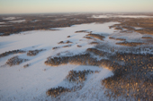 Winter aerial view of forest tundra in the Krasnoselkup region of the Yamal. Western Siberia, Russia. (2012)