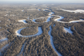 An aerial view of boreal forest (taiga) in winter in the Taz River Basin. Krasnoselkup, Yamal, Western Siberia, Russia. (2012)