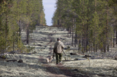Gennadiy Kubolev, a Selkup man, sets off along a seismic line cut in the forest to hunt with his dog. Krasnoselkup, Yamal, Western Siberia, Russia