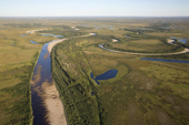 Aerial view of the Plyaroyaha meandering through the surrounding tundra in the Tazovsky region of the Gydan Peninsula. Yamal, Siberia, Russia