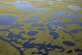 Aerial view of tundra lakes and Ponds near near Tazovskaya Bay in the Gydan Peninsula. Yamal, Siberia, Russia