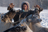 Alexandre Serotetto, a Nenets herder, feeds bread to some of his draught reindeer at his family's winter camp. Yamal, Northwest Siberia, Russia