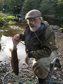 Man in flat cap removes a salmon, grilse, from his landing net. He is surrounded by midges. River Findhorn Scotland