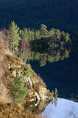 Loch Beinn a' Mheadhoin. Scots pine and birch trees reflected the still waters. winter in Glen Affric. Scotland