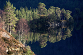 Loch Beinn a' Mheadhoin. Scots pine and birch trees reflected the still waters. winter in Glen Affric. Scotland