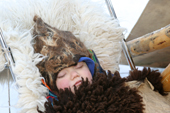 Baby sleeps in its pushchair, warm in a felt hat. Jokkmokk. Sweden. Size to A4