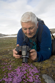 Bill tries a close up with his digital camera on Moss Campion at Camp Mansfield. Blomstrand. Svalbard.