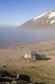 Walrus haul out on the beach where there is an old hunters hut. Kap Lee. Svalbard. Print size to A4.(8 x 11.5 inches)