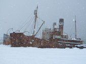 Disused whaling catcher boats in the snow. Grytviken. South Georgia. Sub Antarctica